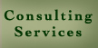 Consulting Services